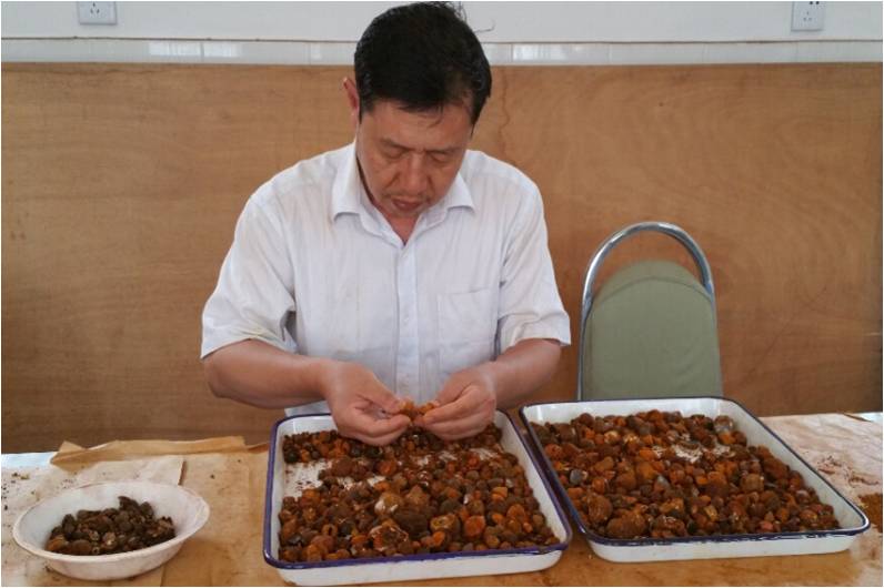 1593591273794 糖果派对 - 更优质的游戏运营商官网